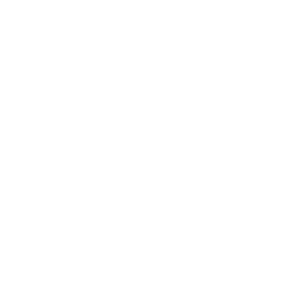 Pickett Insurance Agency - Logo Icon White